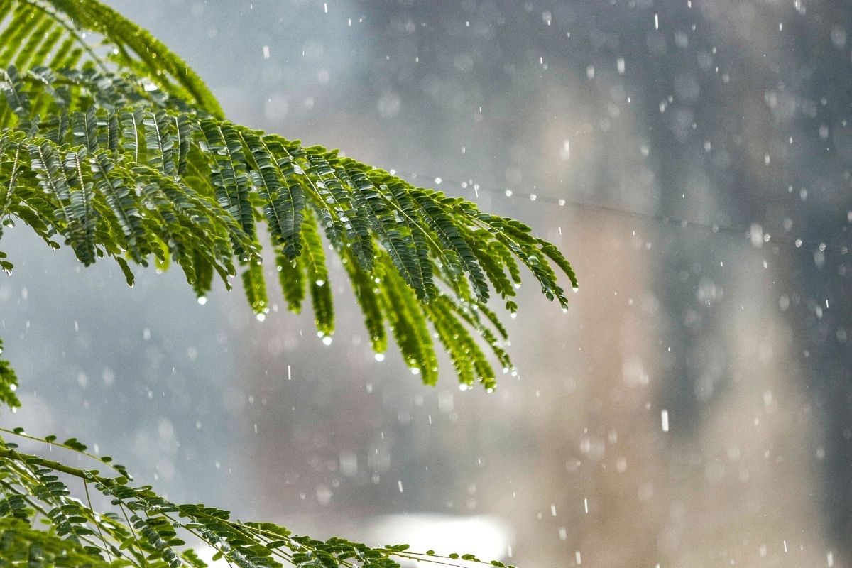 7 il için kuvvetli yağış uyarısı