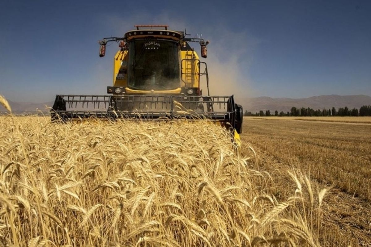 Tarımsal girdi endeksi yıllık ve aylık bazda arttı