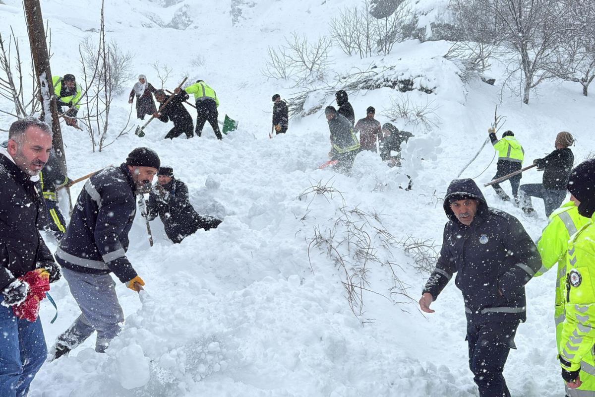Van'da düşen çığın altında kalan kadın için arama çalışmaları başlatıldı