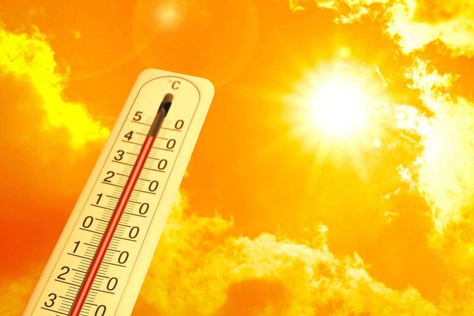 Almanya'da termometreler 41.3 dereceyi gördü, klimalı otellere akın