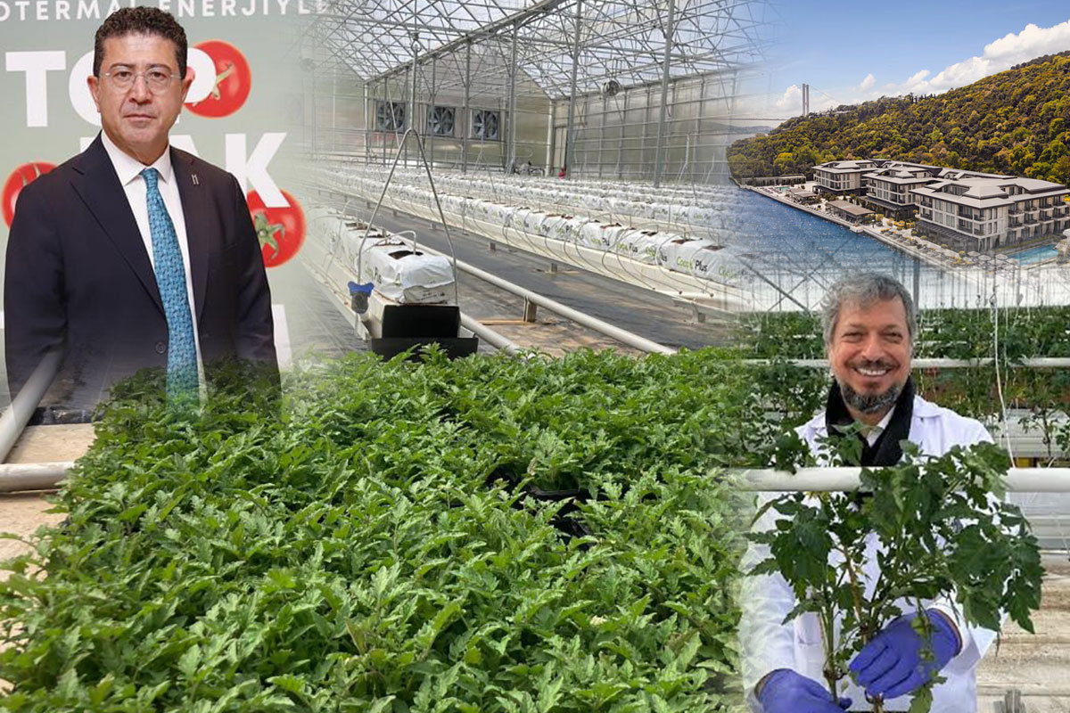 Lüks Otelde Şaşaalı Tanıtım: İstanbul ve Yediyol Holding, 100 İş İnsanın Parasını Domates Serasına mı Gömdü?