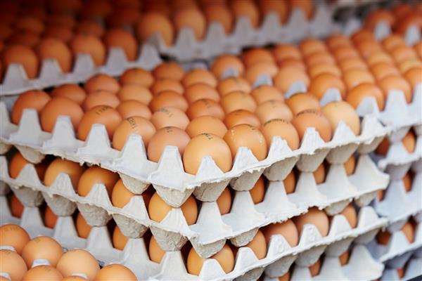 Yumurta temininde denge sağlandı Türkiye yeterlilikte yüzde 100'e ulaştı