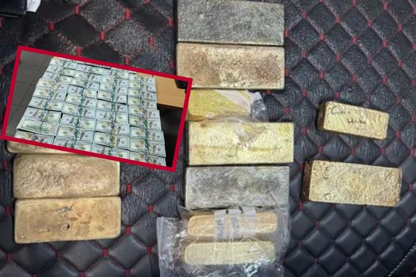 Bulgaristan sınırında 3 Türk vatandaşı 54,4 milyon TL değerindeki döviz ve altınla yakalandı