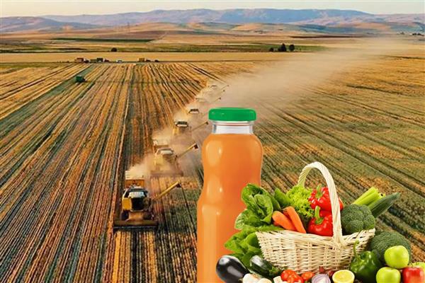 Tarım, gıda ve içecek sektöründen 9,22 milyar dolarlık ihracat