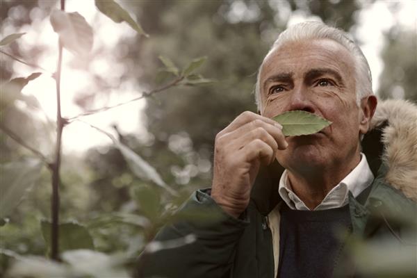 Koku alma duyusundaki zayıflama, Alzheimer ve Parkinson'un ilk belirtisi olabilir