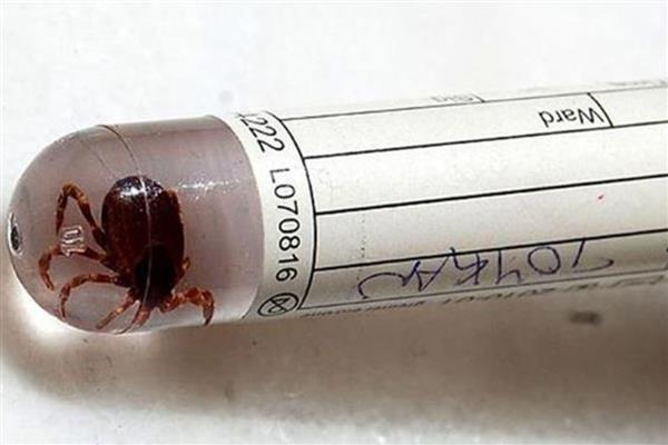 Sivas'ta KKKA'dan bir ölüm daha