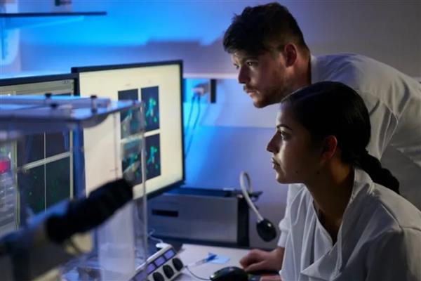 Prostat kanserinde uzun vadeli sonuçları tahmin eden yapay zeka testi geliştirildi