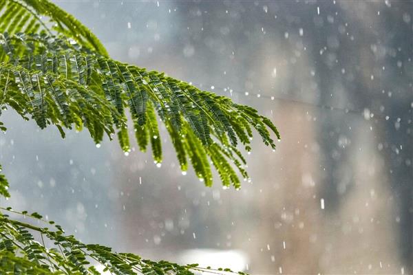 7 il için kuvvetli yağış uyarısı