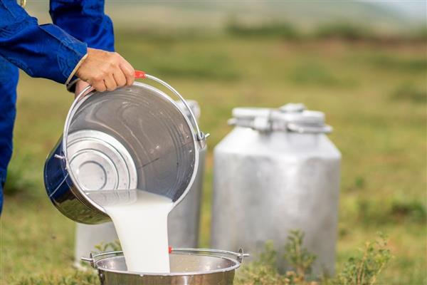 Çiğ süte zam geldi, 1 Ağustos'tan itibaren yeni fiyat uygulanacak