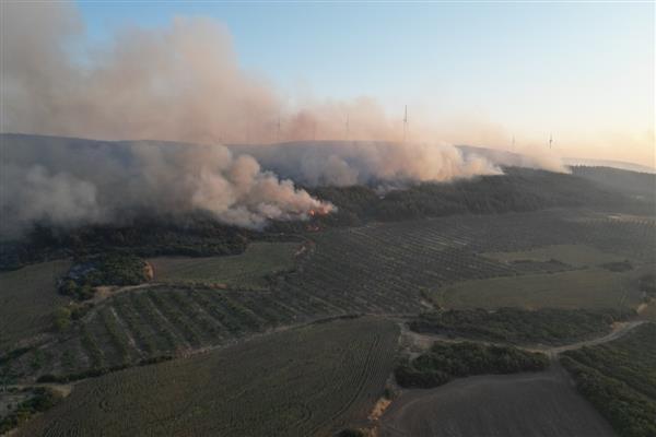 Tekirdağ ve Ayvacık yangınlarına müdahale sürüyor