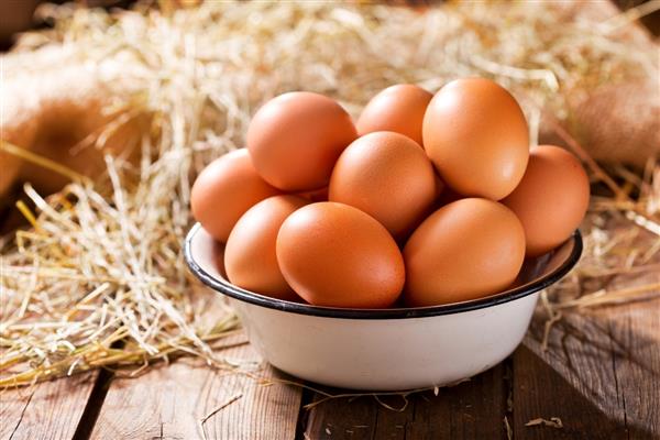 Kuş gribi sonrası üretim durdu, yumurtada arz sorunu yaşanıyor