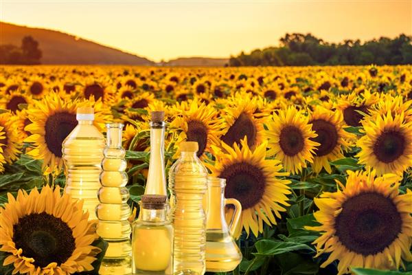 Ayçiçeği tohumu ve yağında tarife kontenjanı uygulaması Resmi Gazete'de yayımlandı