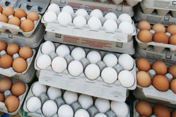 Sofralık yumurta ihracatında uygulanan fon kesintisi kaldırıldı