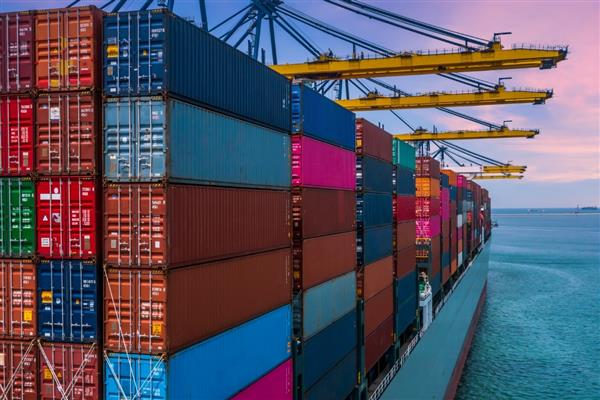 Türk ihracatçının zeytinleri Napoli'de çalındı: 250 bin euro değerinde dolandırıcılık iddiası