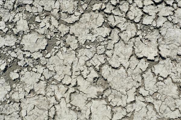 İklim değişikliğinin tarım-gıda zincirine olumsuz etkileri sürmeye devam etmesi bekleniyor