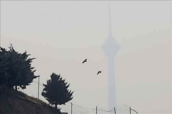 İran'ın başkenti Tahran'da hava kirliliği nedeniyle müzeler 2 gün kapalı