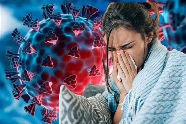 Avustralya'da ortaya çıkan 7 mutasyonlu H3N2 virüsü Kuzey Yarım Küre'ye yayıldı