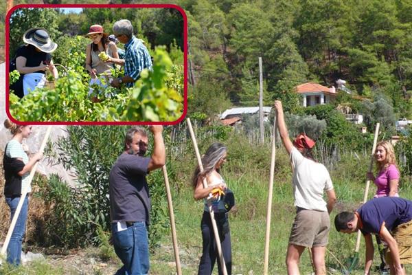 Çiftlik kahvaltıları ve köy evleri rekor ilgi görüyor tarım turizmi kırsalda ekonomiyi canlandırıyor