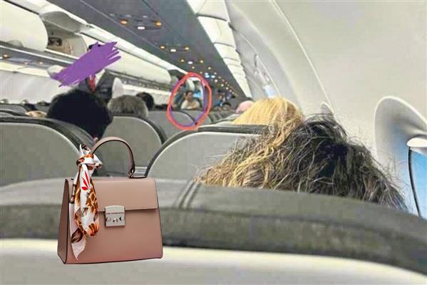 İzmir'de özel bir havayolu şirketinde iş insanı ile hostesin arasındaki kaybolan çanta davası yargıtayda