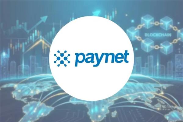 Paynet Ödeme Hizmetleri AŞ'nin faaliyet izni kendiliğinden sona erdi