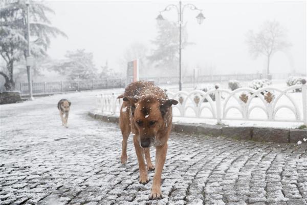 İstanbul'un bazı bölgelerinde haftanın ilk günü kar yağışı etkili oluyor