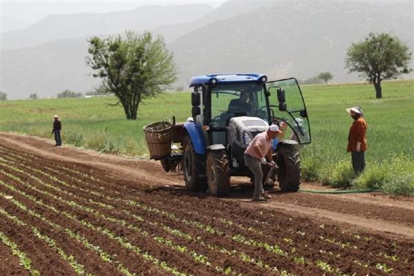 Tarım Ürünleri Üretici Fiyat Endeksi aralıkta yükseldi
