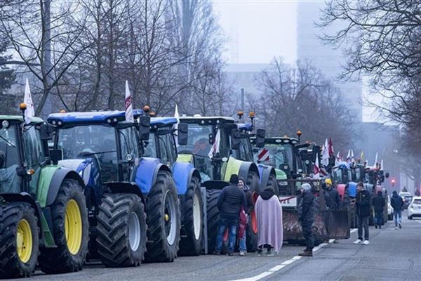 Avrupa Parlamentosu, AB-MERCOSUR ticaret anlaşmasını mahkemeye taşıyor