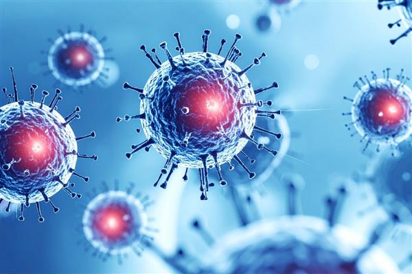 Hindistan'daki Nipah vakaları sonrası sağlık taramaları artırıldı