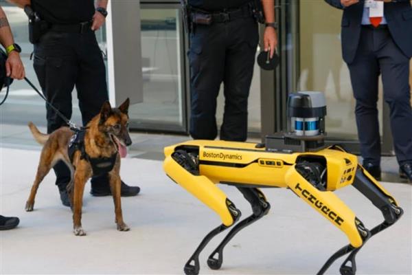 2026 Dünya Kupası'nda güvenlik için robot köpekler kullanılacak