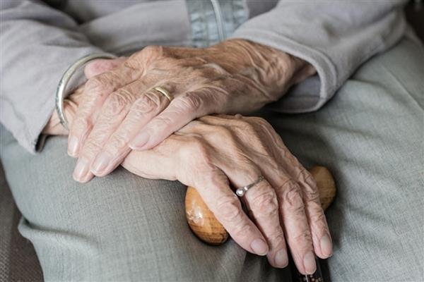 Türkiye'de 100 yaşına merdiven dayayan 244 bine yakın 'çınar' yaşıyor