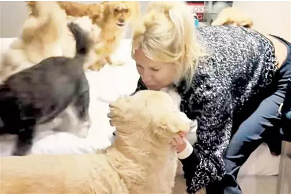 Derin Mermerci'yi tatil dönüşü yalısında patili dostları karşıladı