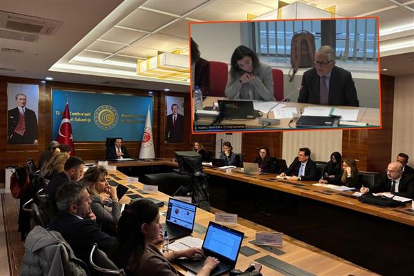 Ticaret Bakanlığı ile Avrupa Komisyonu'ndan "e-ticaret" ve "SKDM" toplantısı