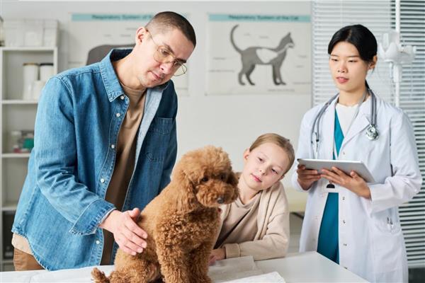 İtalya'da evcil hayvanı hasta olan kişilere ücretli izin almalarını sağlayacak düzenleme geliyor