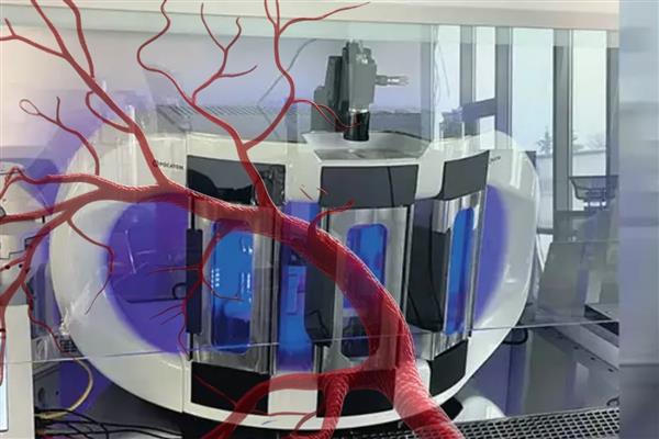 Rusya'da laboratuvarda üretilen yapay damar tavşana başarıyla nakledildi