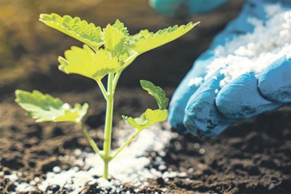 Savaşın Hürmüz Boğazı'nda yarattığı aksama gübreyi vurdu, artan maliyet çiftçileri zor durumda bıraktı