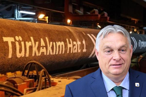 Macaristan Başbakanı Orban, TürkAkım boru hattında askeri denetimi artırma talimatı verdi