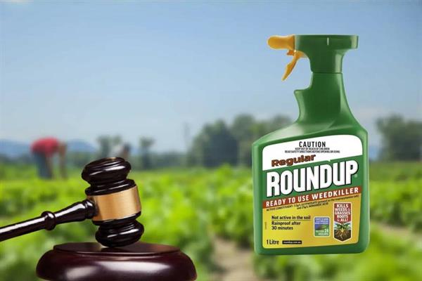 ABD Yüksek Mahkemesi, Bayer'e ait Roundup'la ilgili davaları görüşmeye yarın başlıyor; milyar dolarlık tazminat talep ediliyor
