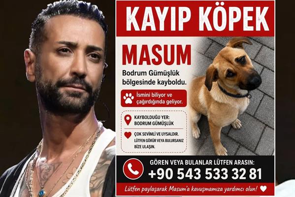 Tan Taşçı'dan kayıp köpeği “Masum” için yardım çağrısı