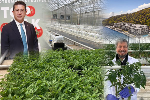 Lüks Otelde Şaşaalı Tanıtım: İstanbul ve Yediyol Holding, 100 İş İnsanın Parasını Domates Serasına mı Gömdü?