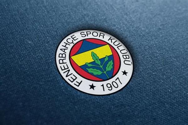 Fenerbahçe'de 7 yönetim kurulu üyesi istifa etti, bugün seçim yapılacak