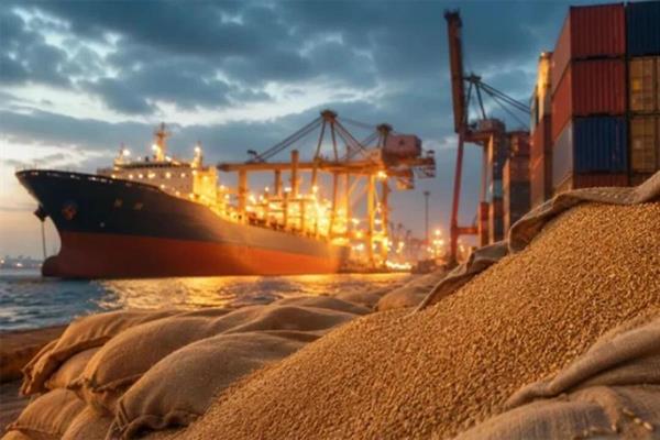 Karadeniz'de jeopolitik risklerin yumuşaması buğday fiyatlarındaki yükselişi frenledi