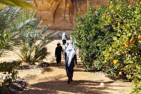 Suudi Arabistan, Necran bölgesi için 'acil durum' uyarısı yaptı